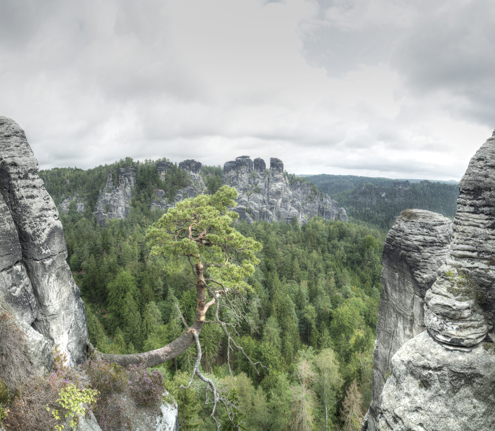 Preview BASTEI Akzentuiert.jpg
